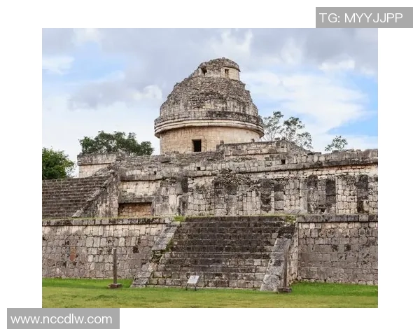 足球黄魔的传奇之路与辉煌成就探秘